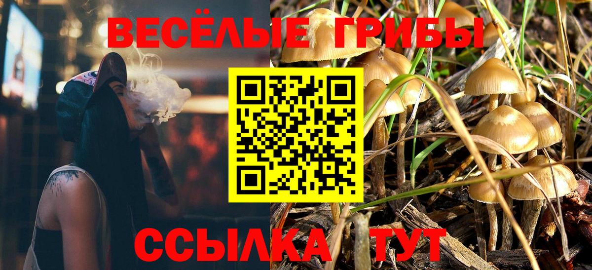 Галлюциногенные грибы MAGIC MUSHROOMS Шебекино