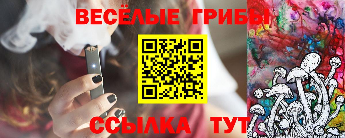 купить  цена  Вход с VPN  Шебекино  Галлюциногенные грибы GOLDEN TEACHER  Псилоцибиновые грибы Psilocybine cubensis 